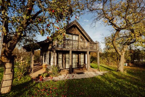 House in Orchard in autumn