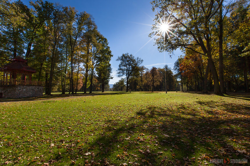 Park w Wojanowie Park w Wojanowie