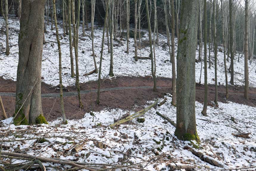 Wojcieszów singletrack Wojcieszów singletrack